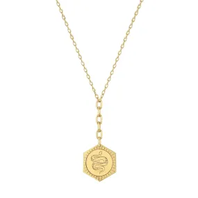 14k Animal Hexagon Medallion Lariat Necklace on Mixed Square Oval Chain