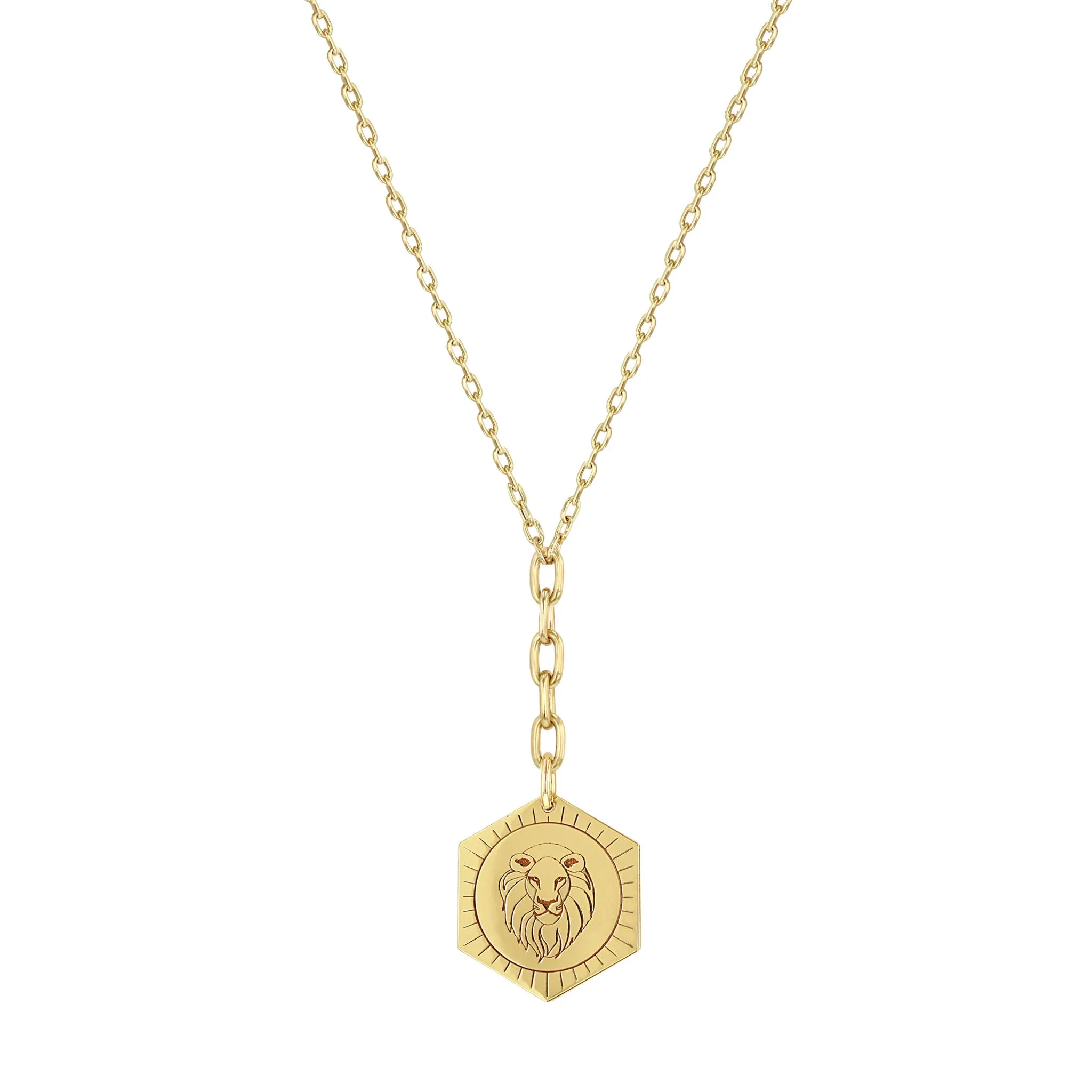 14k Animal Hexagon Medallion Lariat Necklace on Mixed Square Oval Chain