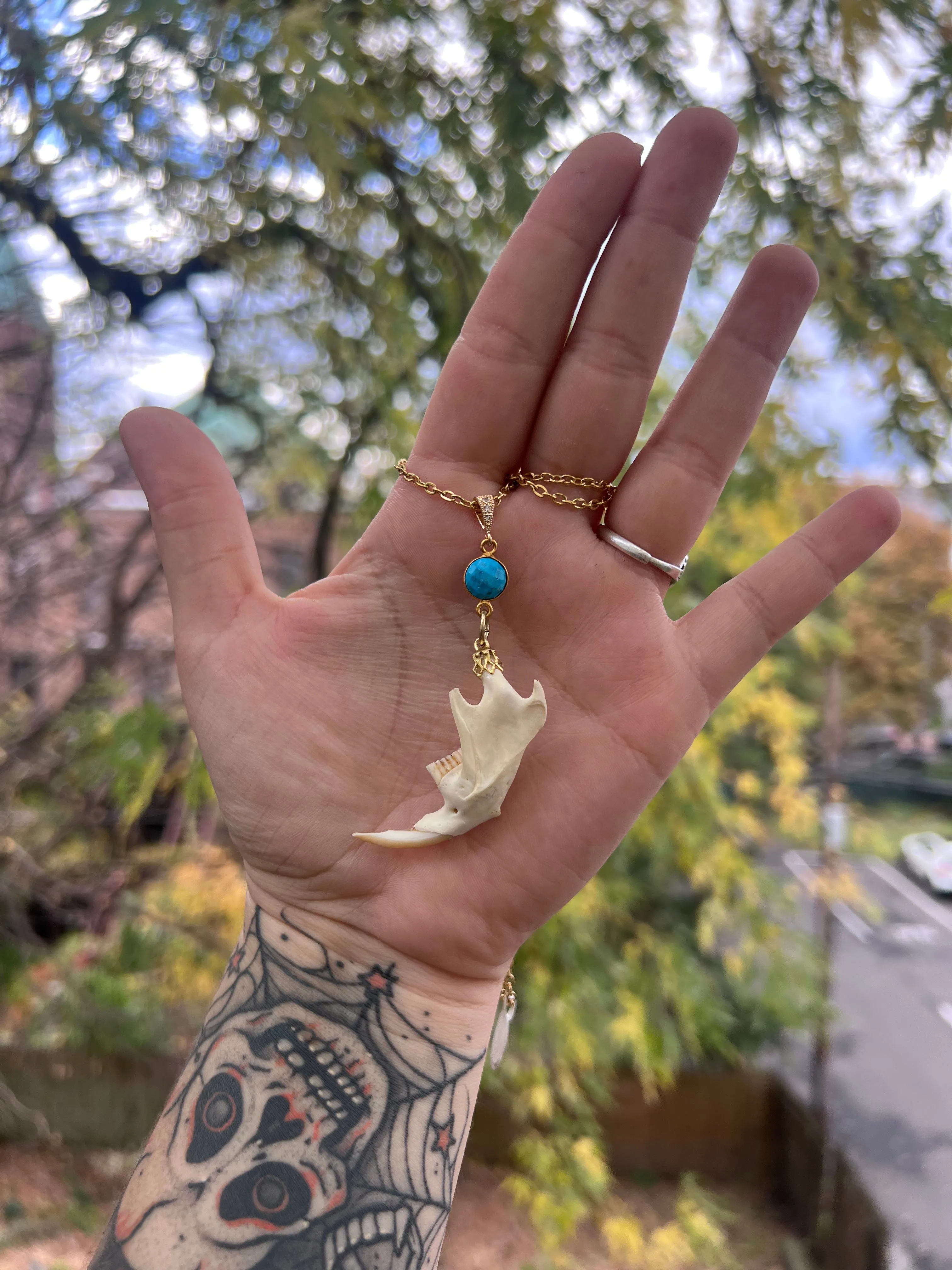 Muskrat Mandible Necklace