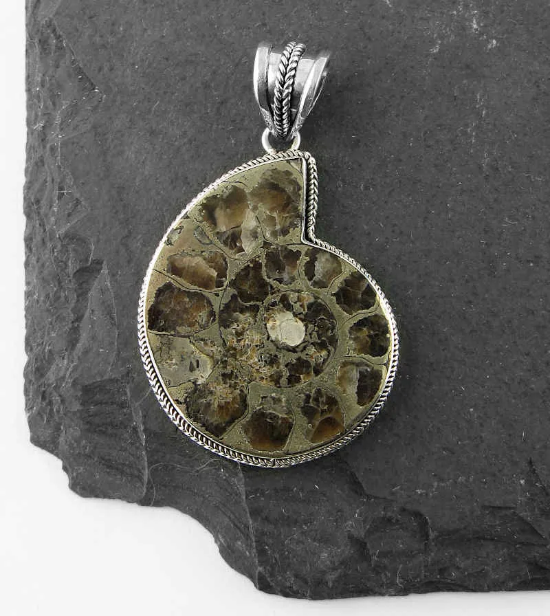 Real Ammonite or Nautilus Shell Fossil Pendant